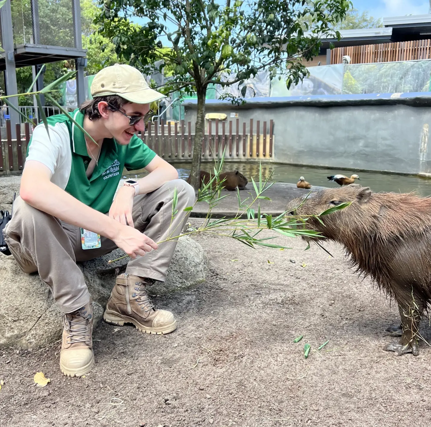 Volunteer zookeeper with capybara 