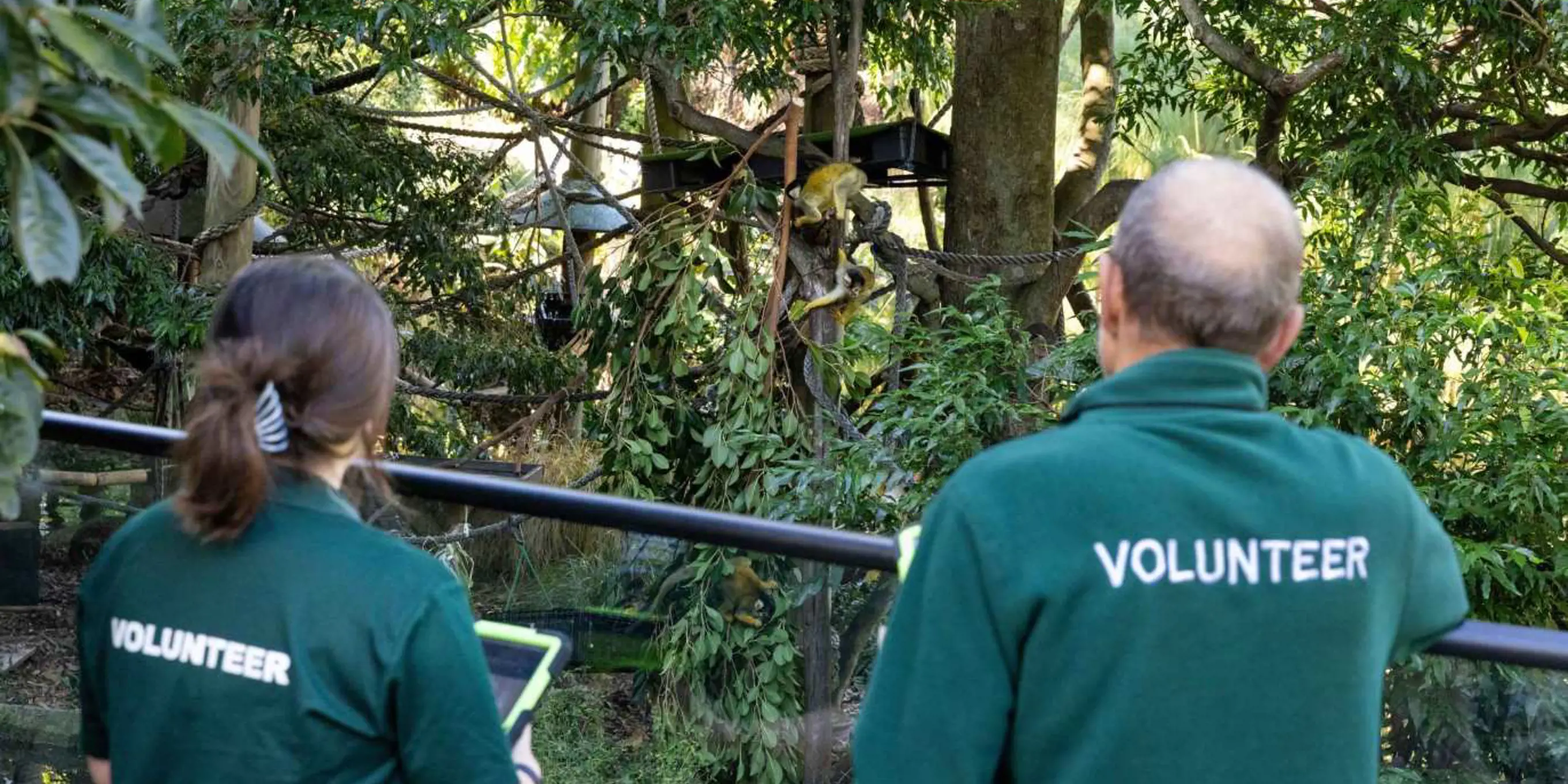 Animal Behaviour Observation Volunteers collecting data outside the Squirrel Monkey enclosure