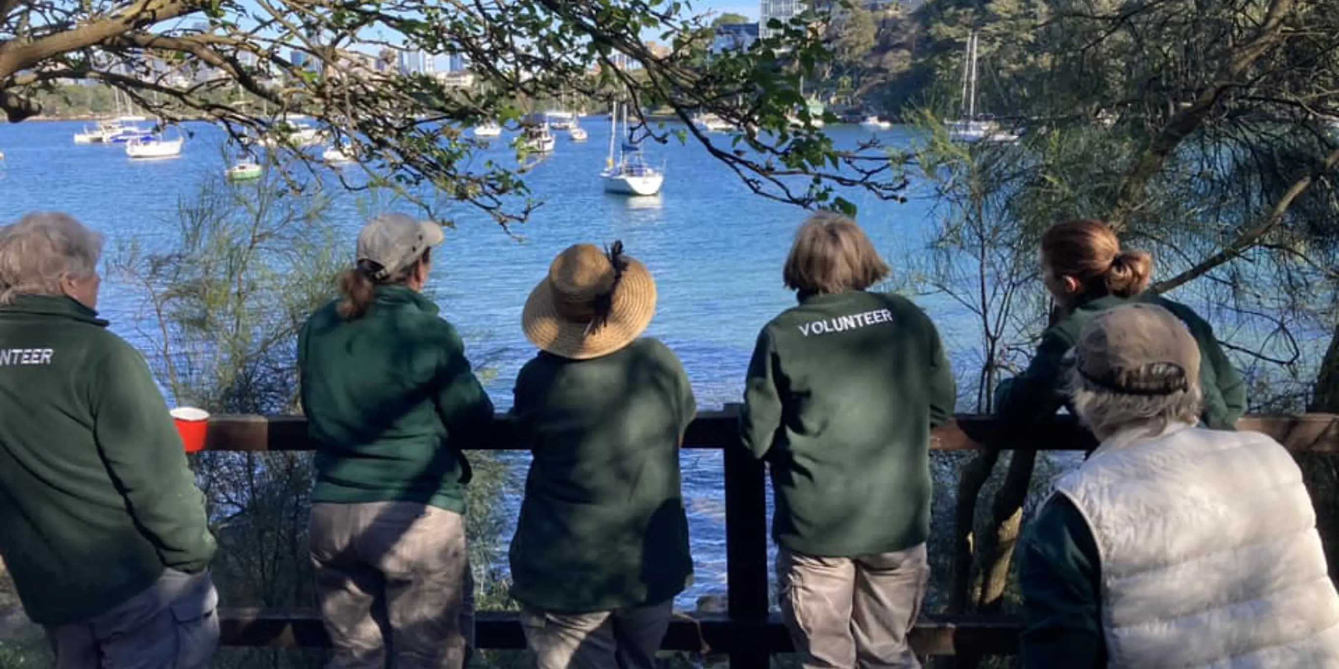 Bushcare Volunteers with Sydney Harbour view