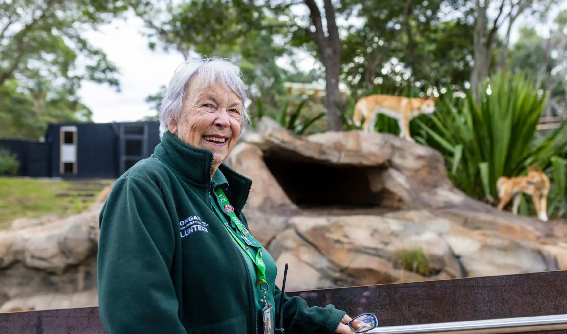Guest Experience Volunteer in front of the dingo enclosure